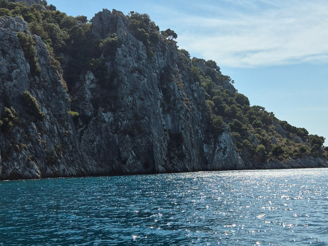 Dalyan Boat Tours - Ege Kaptan-达利安必去景点