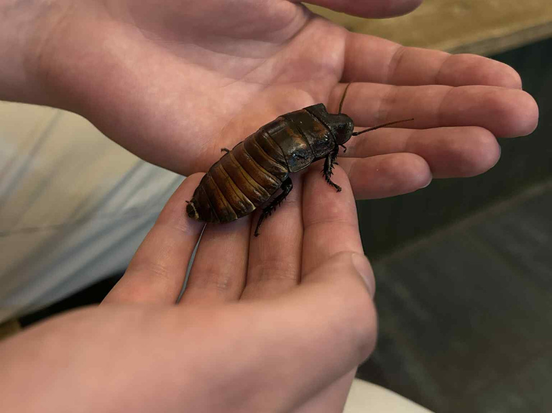 Bugtopia Hornsea Zoo-Hornsea必去景点