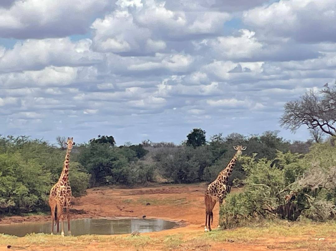 Luchiano Tours and Safaris-迪亚尼必去景点