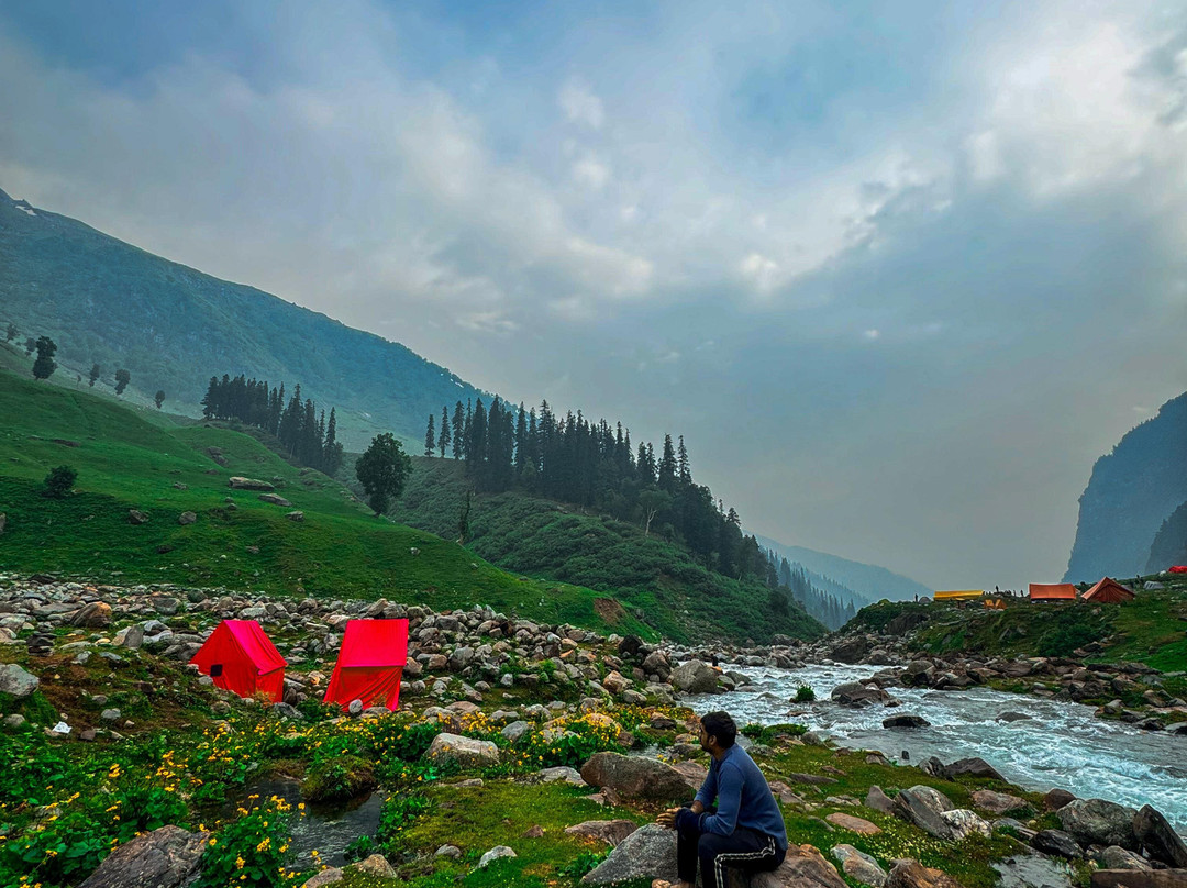 Himalayas Griffon-阿姆利则必去景点