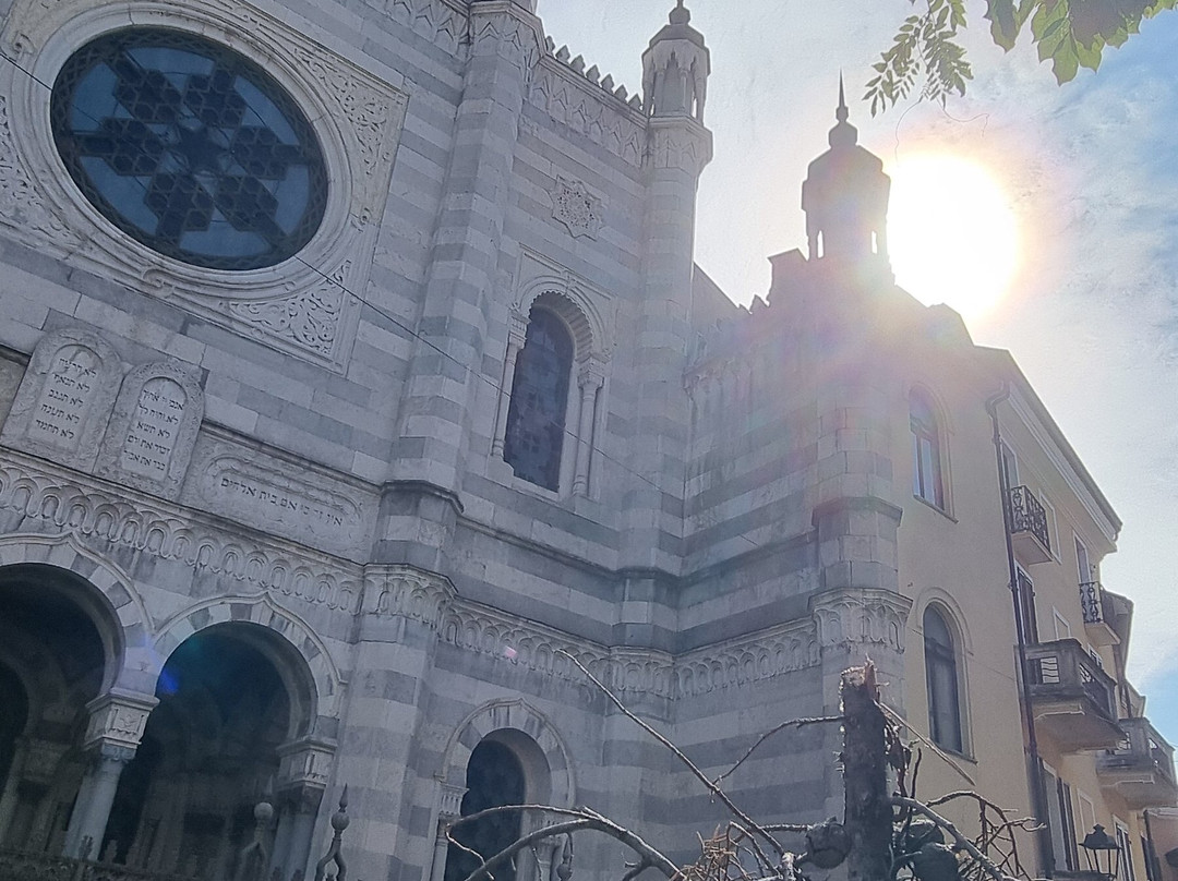 Sinagoga di Vercelli-韦尔切利必去景点