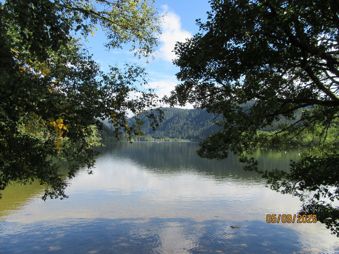 Lac de Longemer-Xonrupt-Longemer必去景点