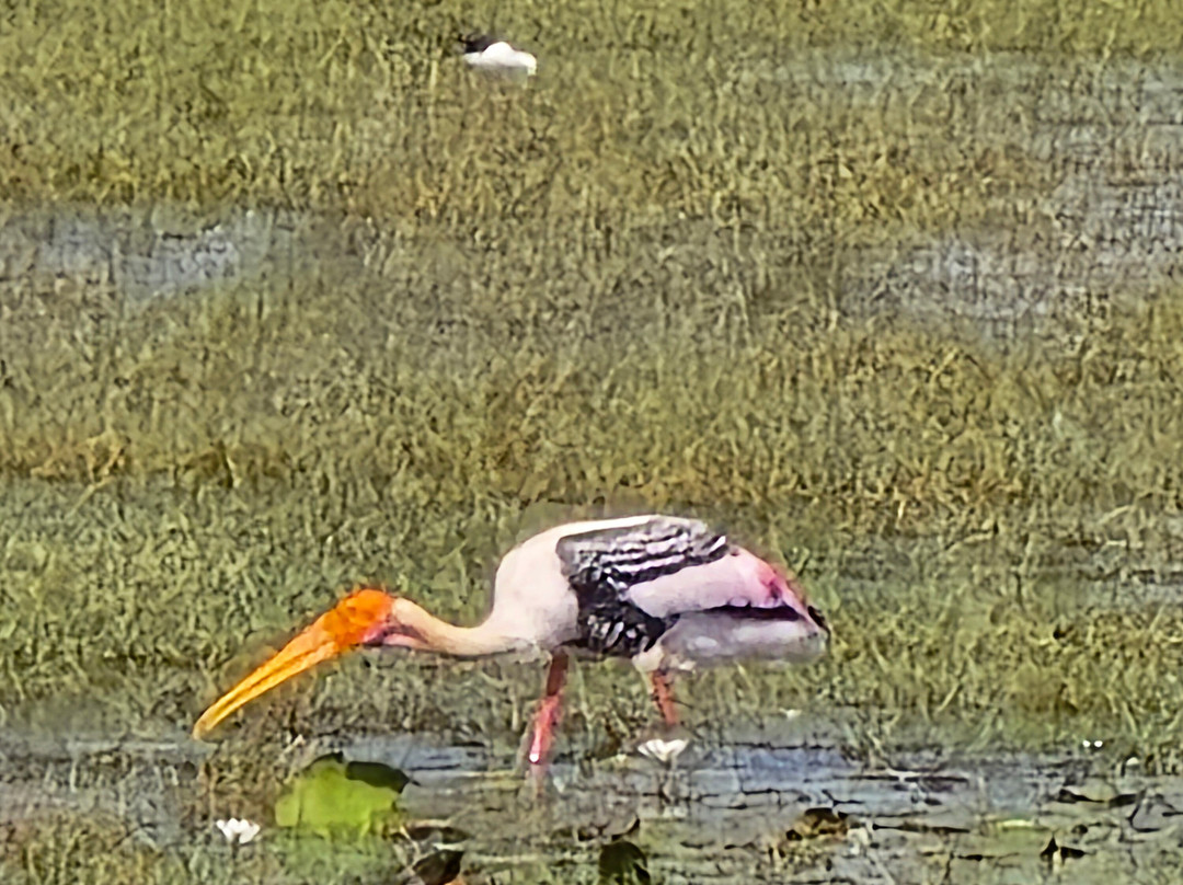 Kanishka Prabath-奴娃拉伊利雅必去景点