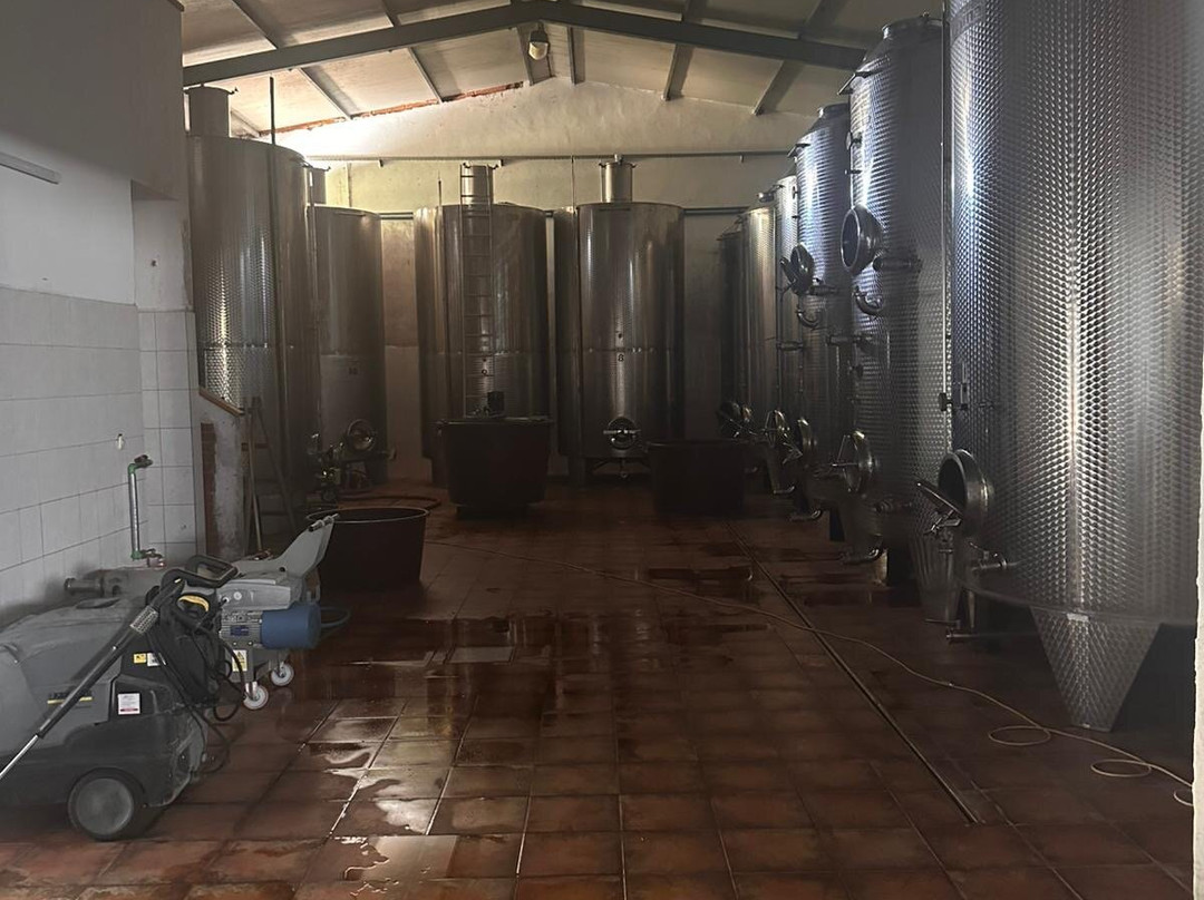 Kalavojna Winery-Loborika必去景点