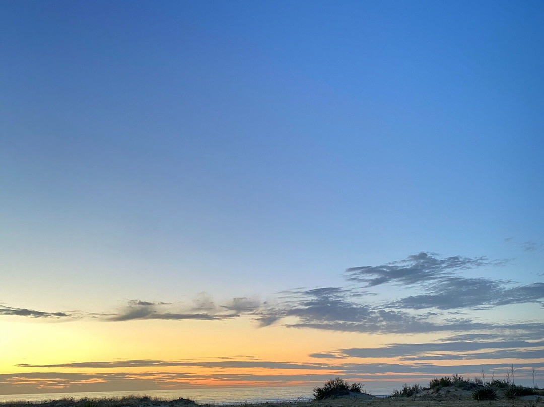 Plage de Moliets-Moliets et Maa必去景点