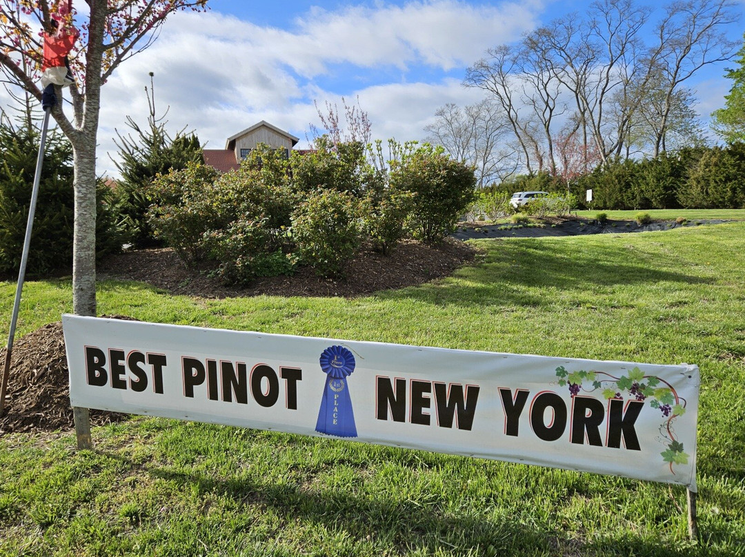 North Fork Taste And Tours