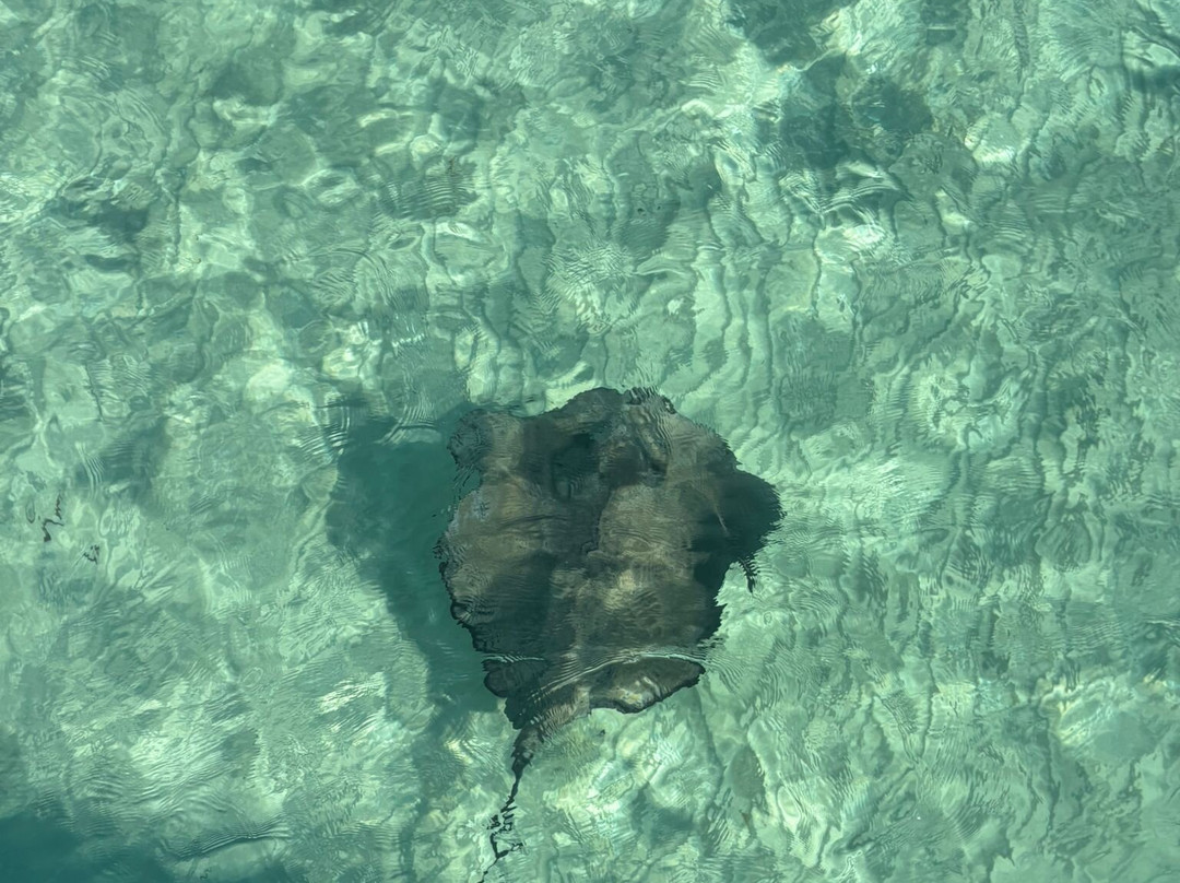 Playa El Cielo-考祖梅必去景点