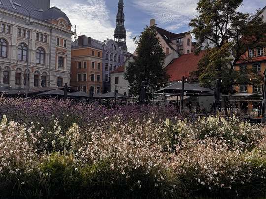 RIGA 11:00-里加必去景点