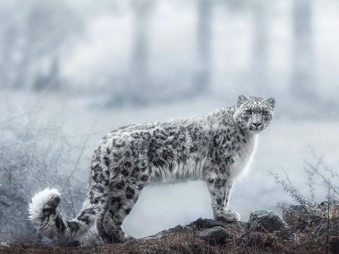 Parque Historico De Carambei-Carambei必去景点