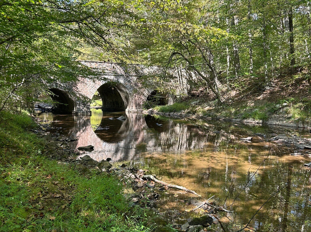 Bowman's Hill Wildflower Preserve-纽霍普必去景点