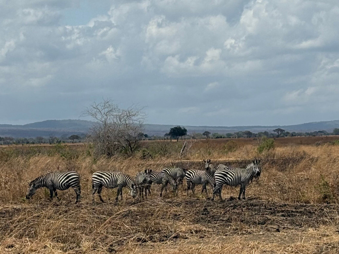 Travel with Deo-Mloka必去景点