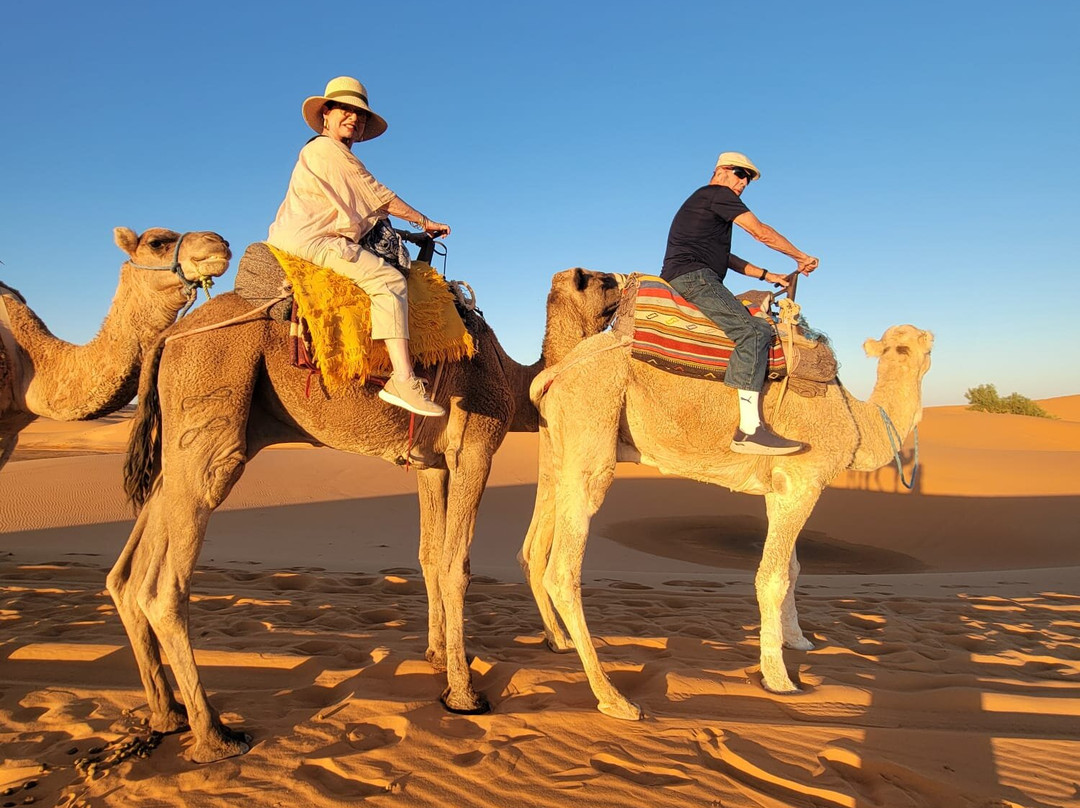 Desert Unlimited Morocco - Day Tours-瓦尔扎扎特必去景点