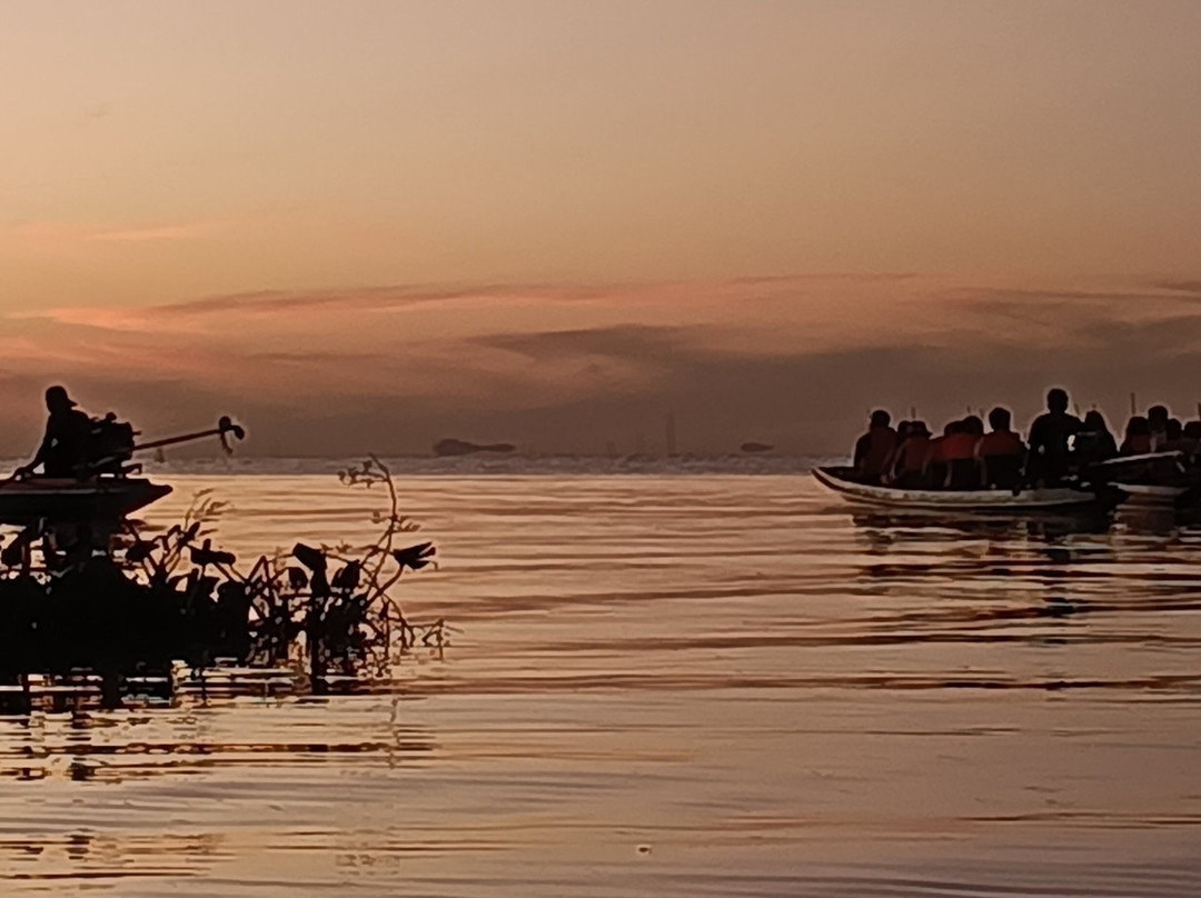 Thale Noi Waterbird Park-博他伦府必去景点