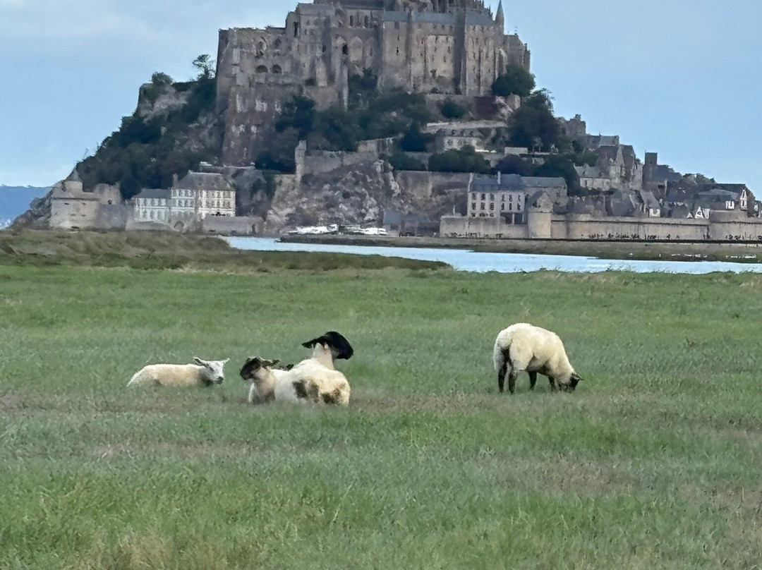 Hotel - Restaurant du Chateau主图
