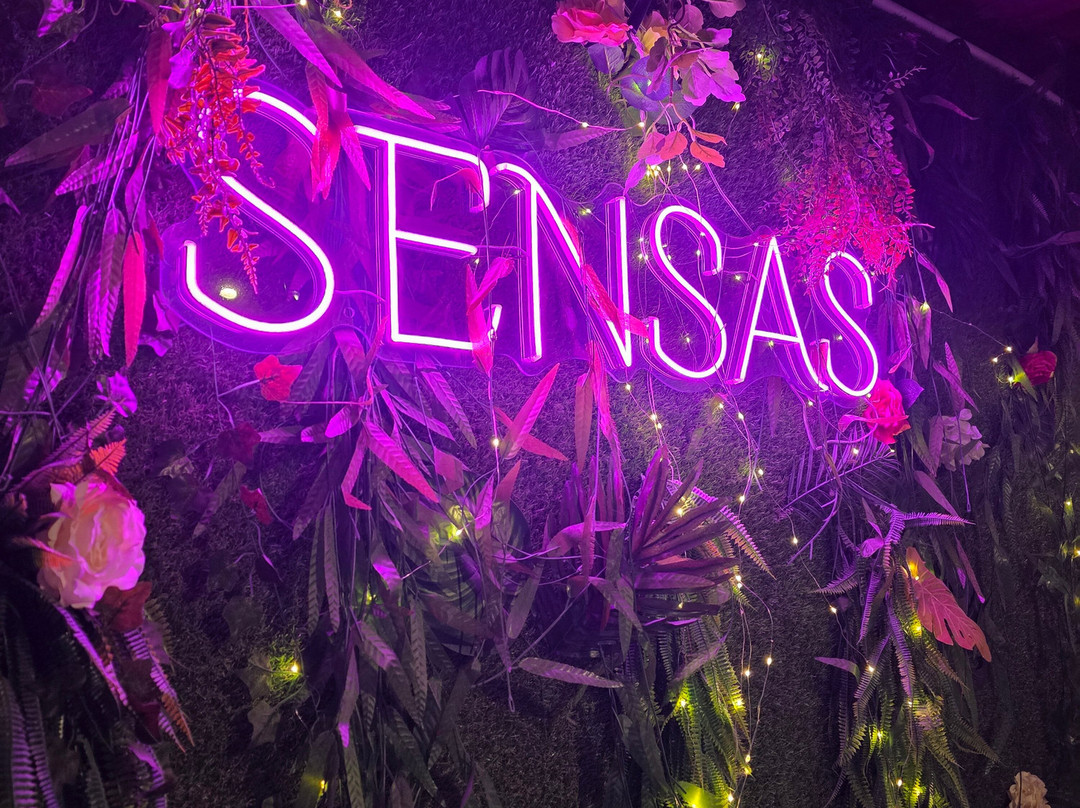 Sensas Montpellier-蒙彼利埃必去景点