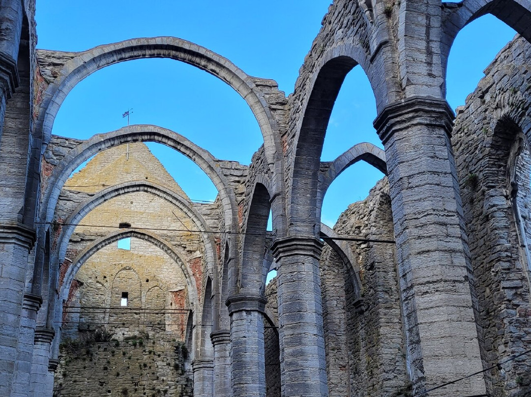 St. Karin Cathedral Ruins-维斯比必去景点