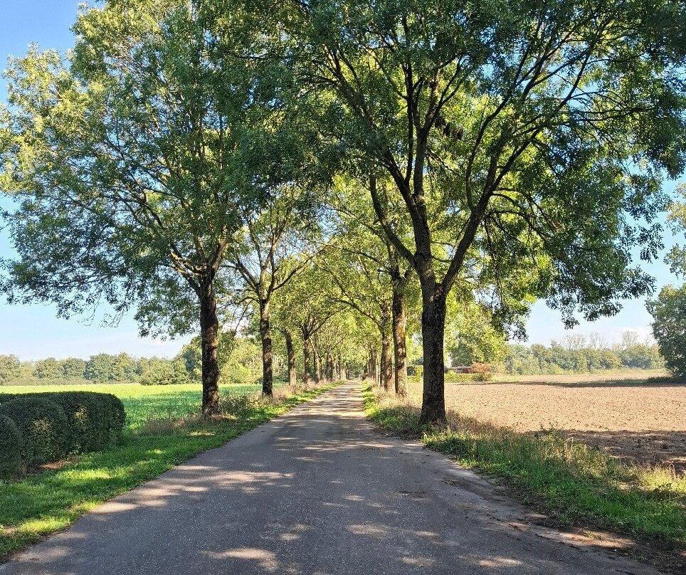 Kasteel Tongelaar-Mill必去景点