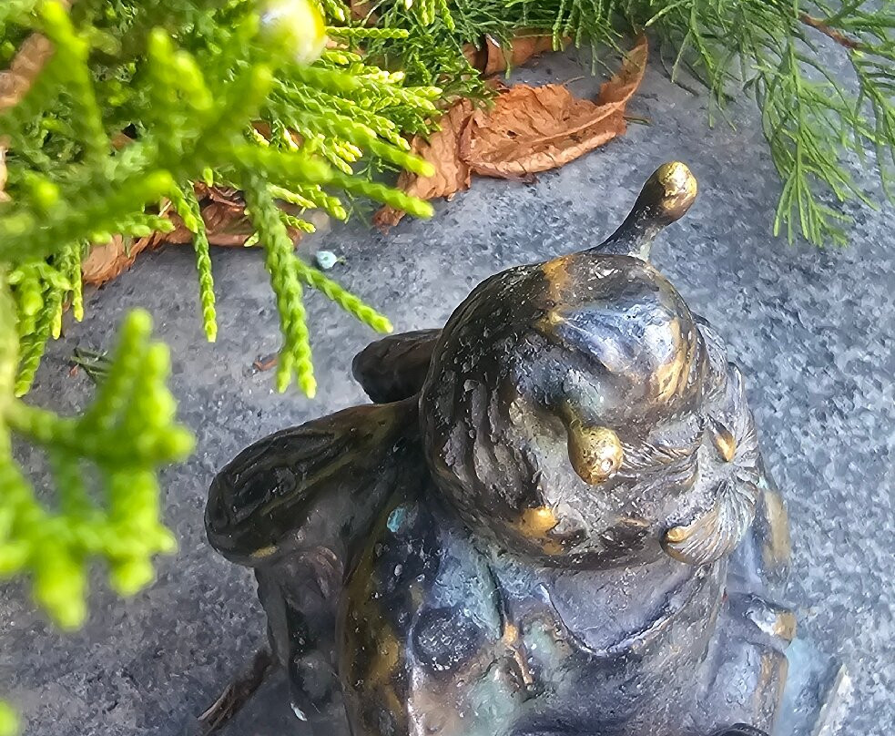 Simferopol bees-辛非洛普必去景点