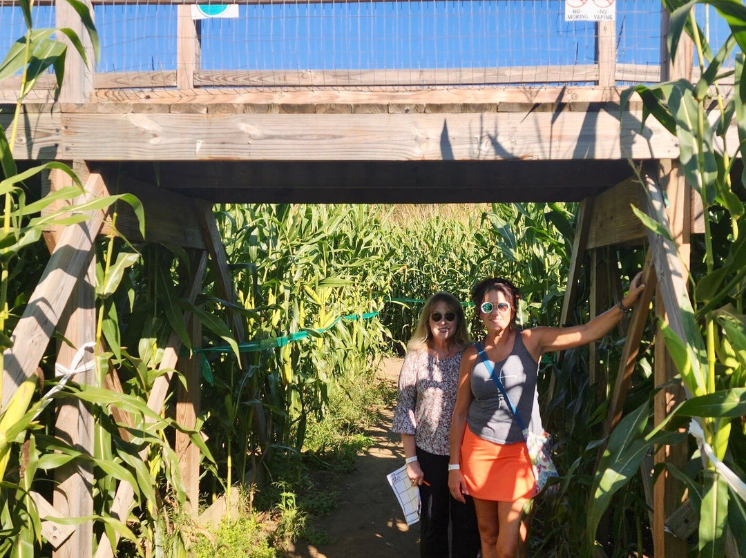 The Farm-Woodbury必去景点