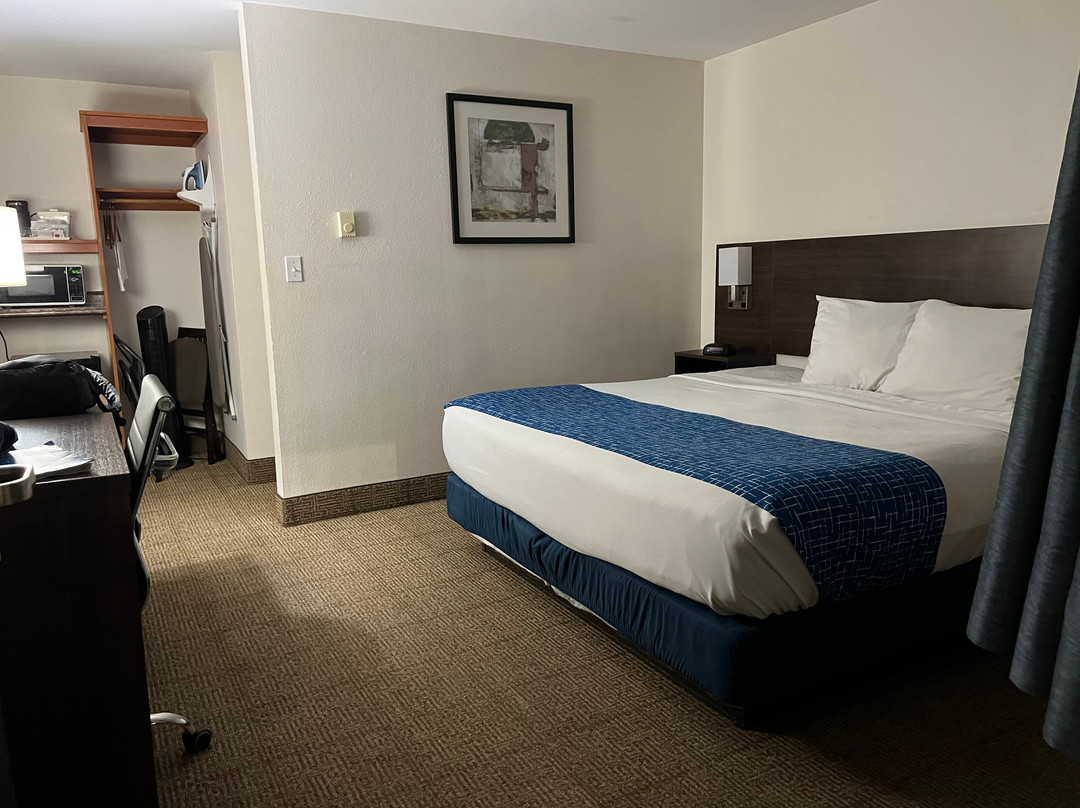 纽波特Travelodge by Wyndham(Travelodge Newport)主图