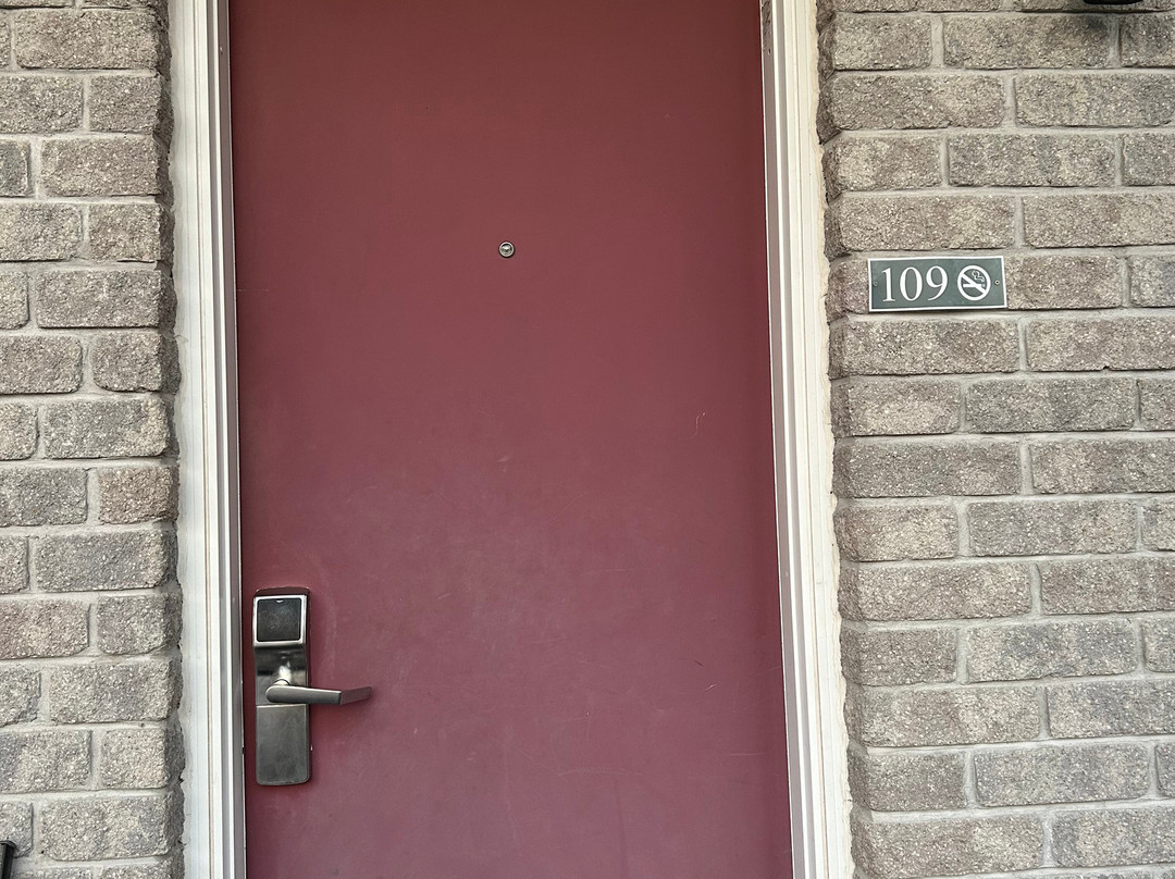 Super 8 by Wyndham Kingston主图