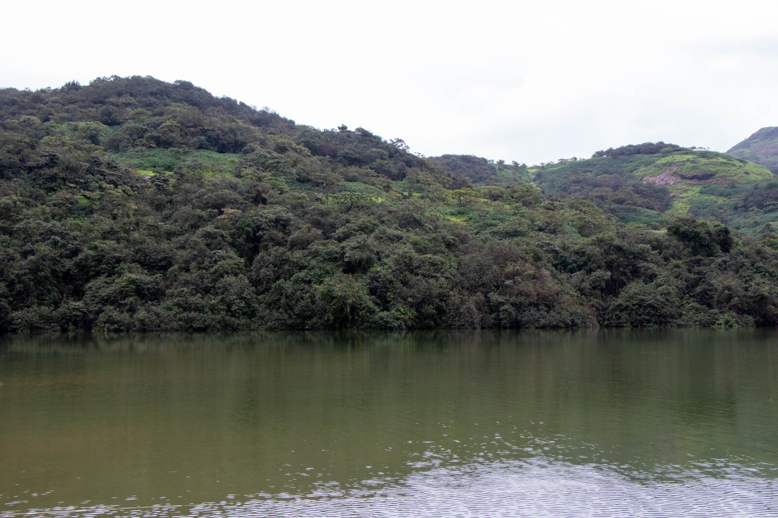 Della Resorts-酒店景观