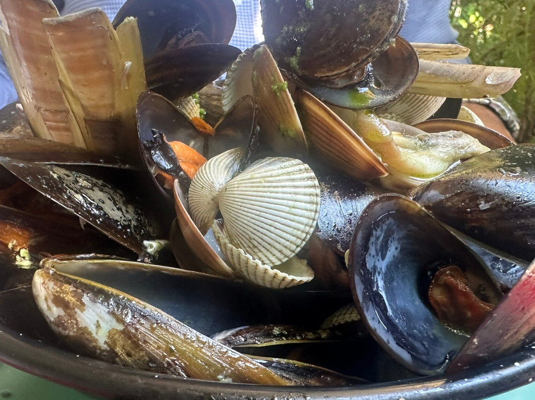 La Nova Tenalla主图