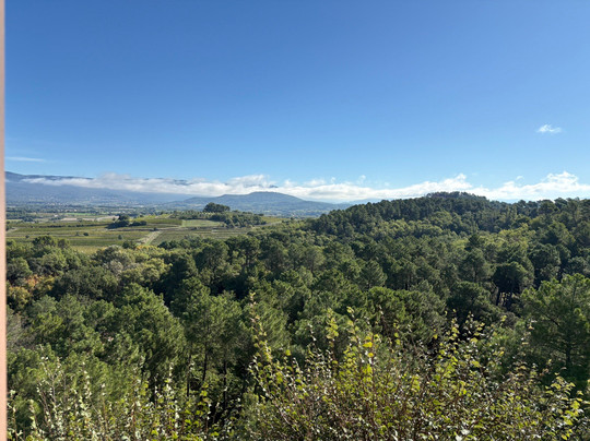 克洛斯格里希纳酒店主图