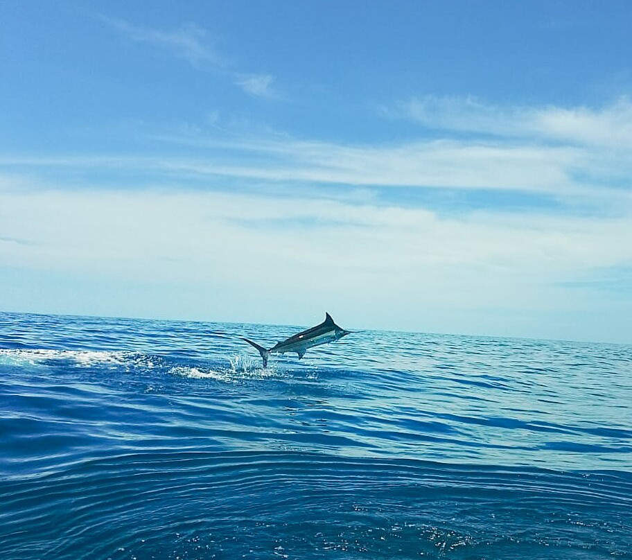 Gamefisher II Costa Rica-Playa Flamingo必去景点