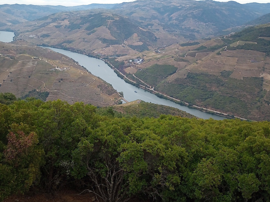 Praca da Batalha-波尔图必去景点