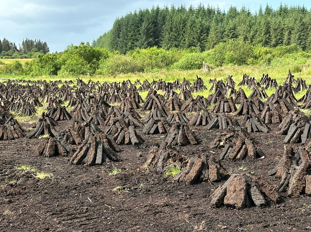 Ireland West Farm Stay-Charlestown必去景点