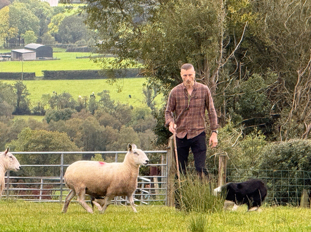 Glenshane Country Farm