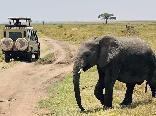 Trailblazer Safaris-阿鲁沙必去景点