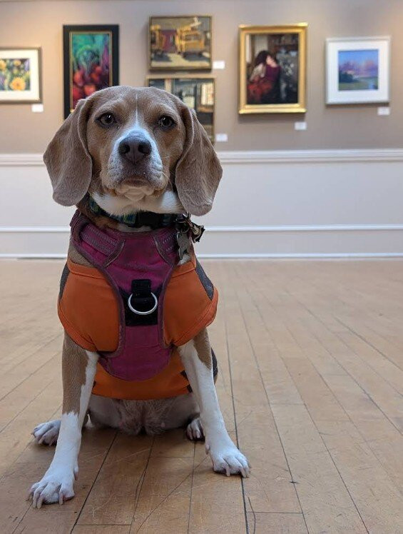 Rockport Art Association & Museum-罗克波特必去景点