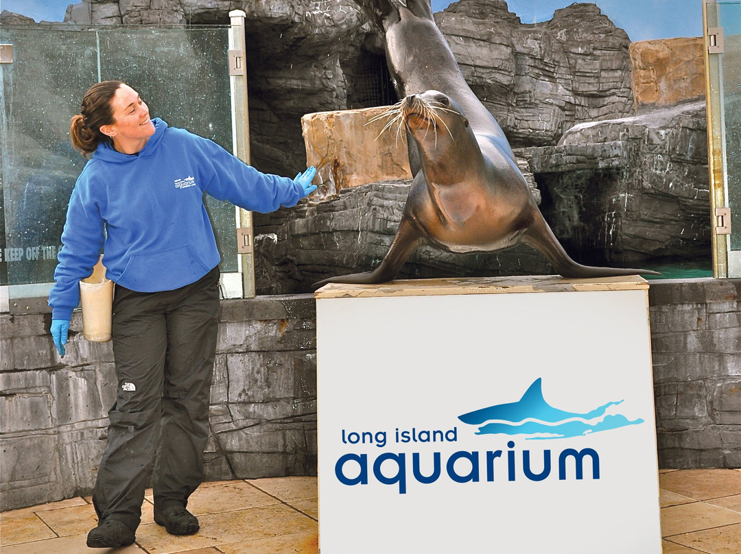 Long Island Aquarium-Riverhead必去景点