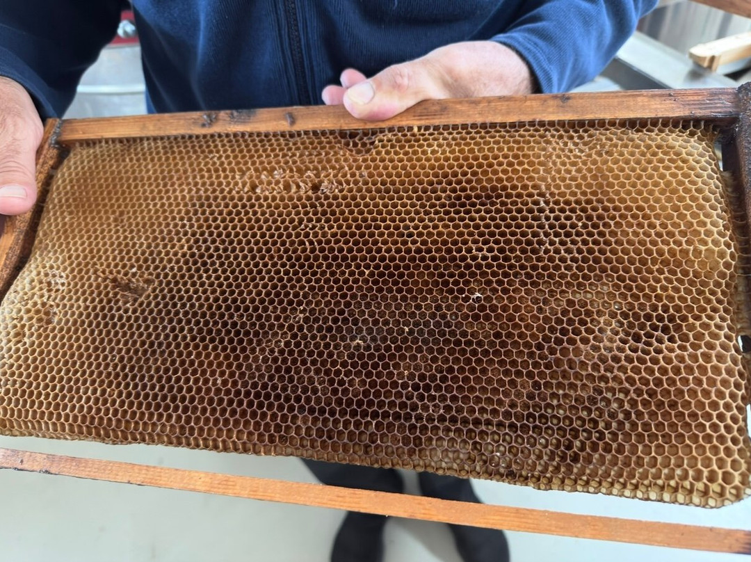 Melissokomikí Kérkyras Vasilákis-Vatos必去景点