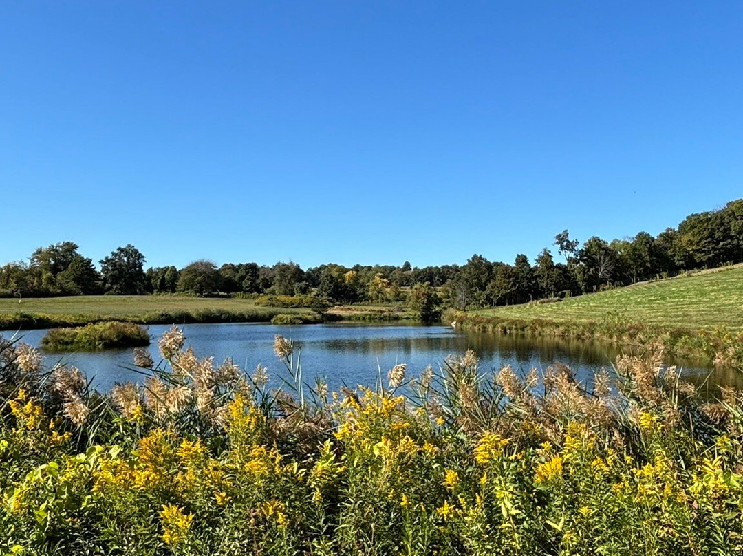 Millbrook Vineyards & Winery-Millbrook必去景点