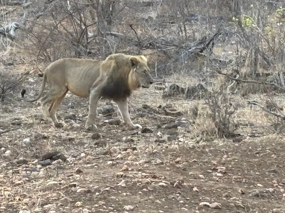 Ngalali Retreat主图