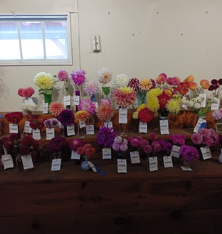 Topsfield Fair-Topsfield必去景点