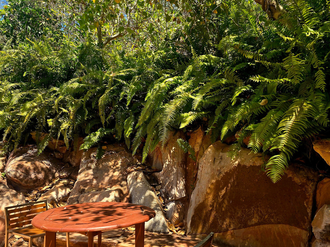 Cape Leveque-Dampier Peninsula必去景点