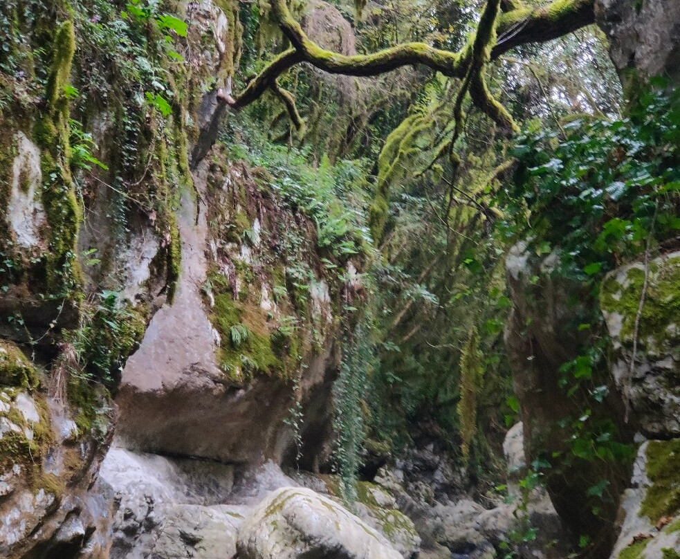 Oasi WWF Grotte del Bussento-Morigerati必去景点