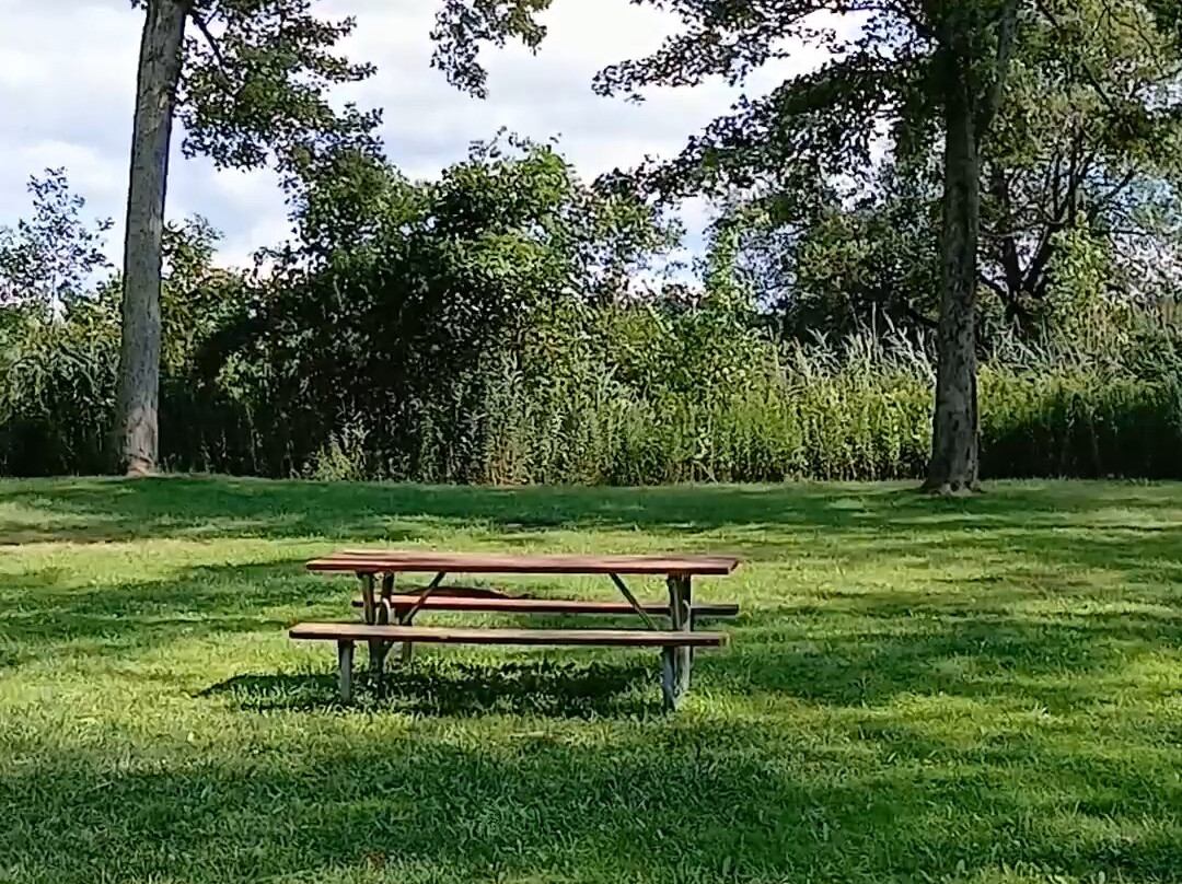 Oneida Shores County Park-Brewerton必去景点
