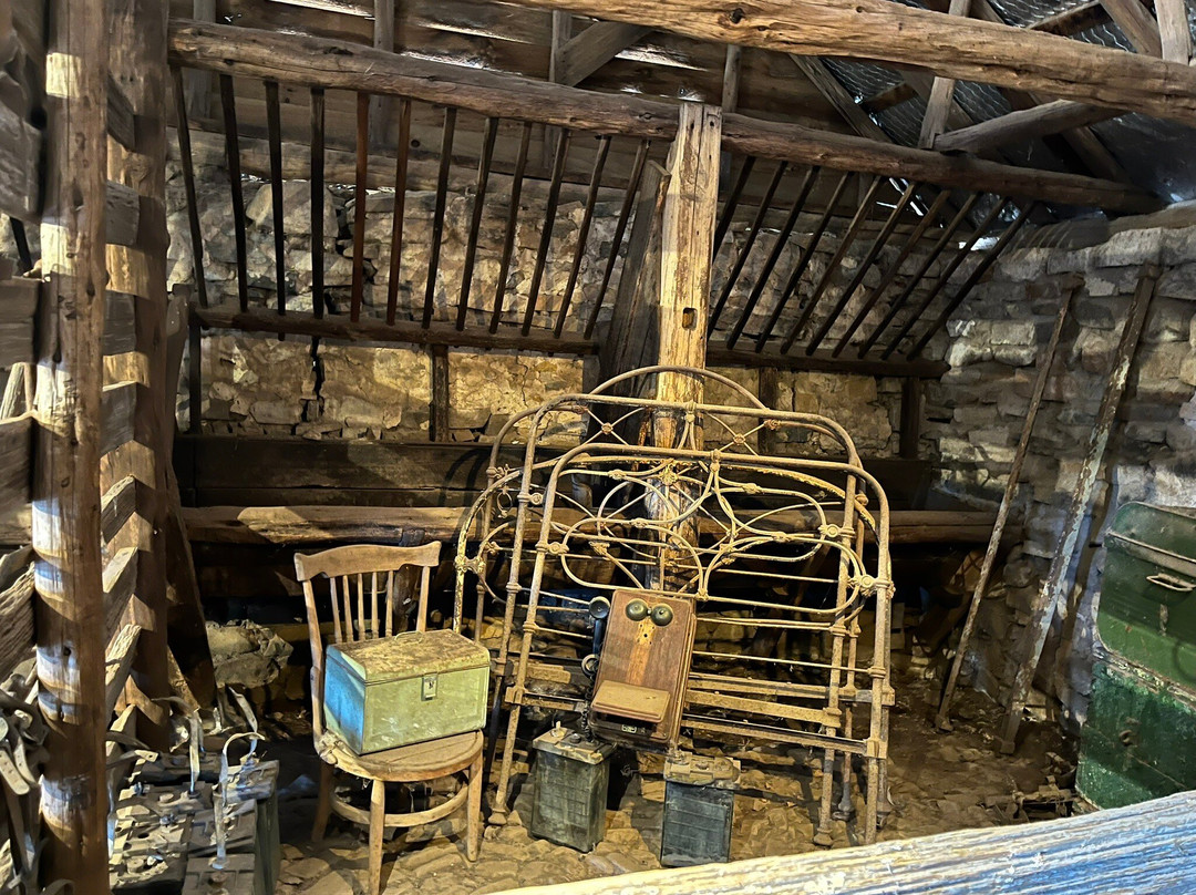 The Long Lunch Tour Co-科尔斯湾必去景点