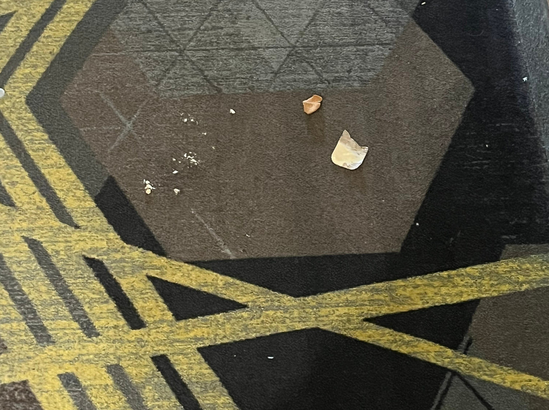 Drury Inn & Suites Cleveland Beachwood主图