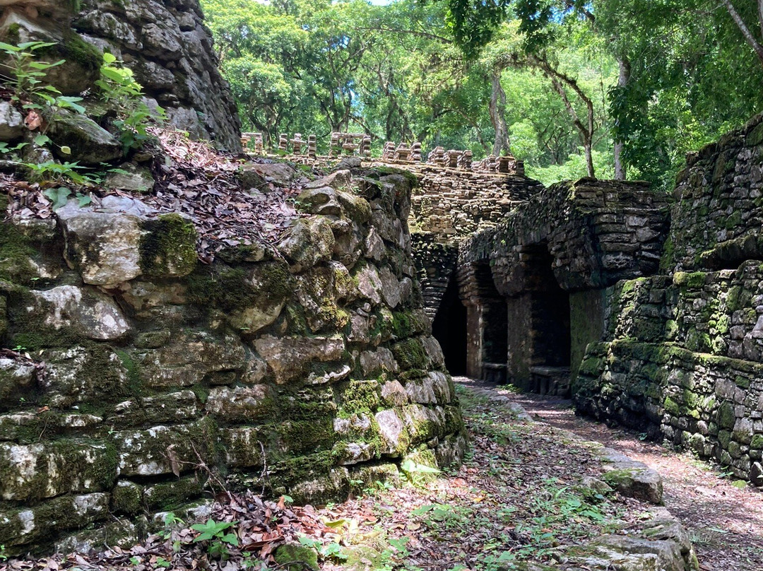 Zona Arqueológica de Yaxchilán-恰帕斯必去景点