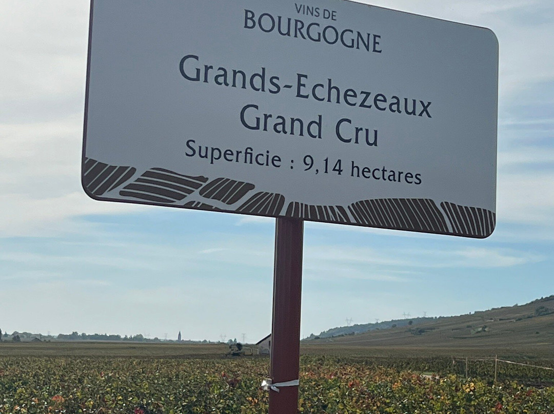 Domaine de la Romanee-Conti-Vosne-Romanee必去景点