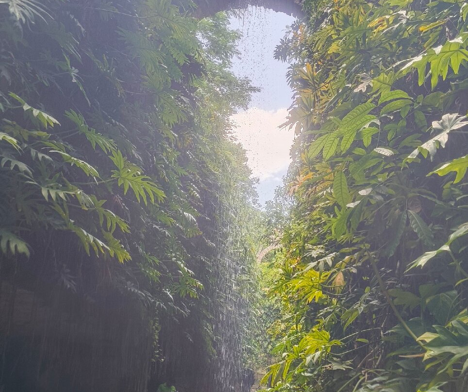 Cenotes Hacienda Mucuyche-Mucuyche必去景点