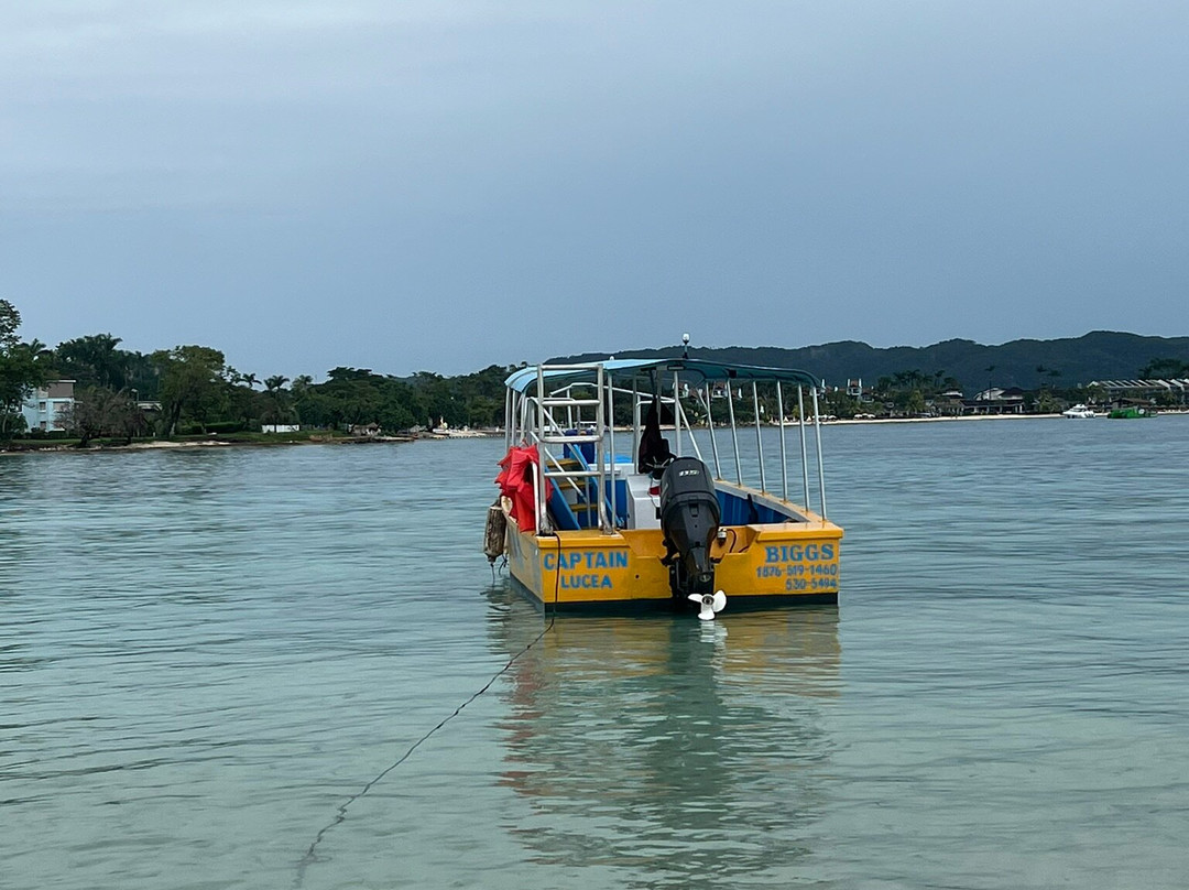 Booby Cay Island-内格里尔必去景点