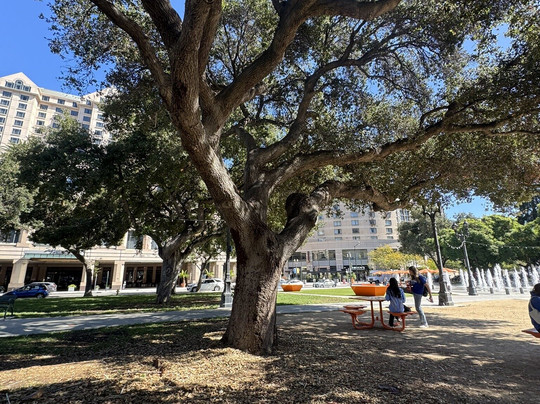 Plaza de Cesar Chavez Park-圣何塞必去景点