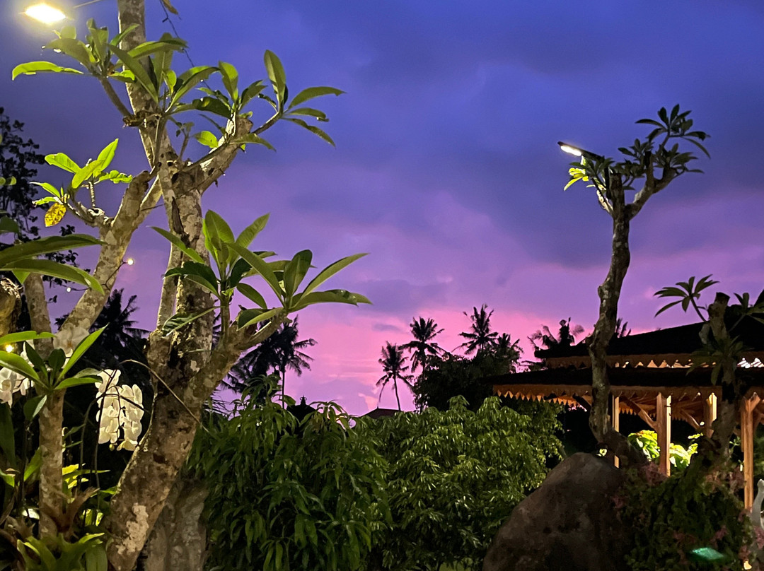 Pangkung Carik Villa by Pramana主图